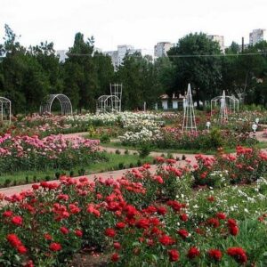 Ботанический сад им. Н.В. Багрова